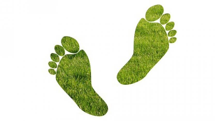 green grass foot prints